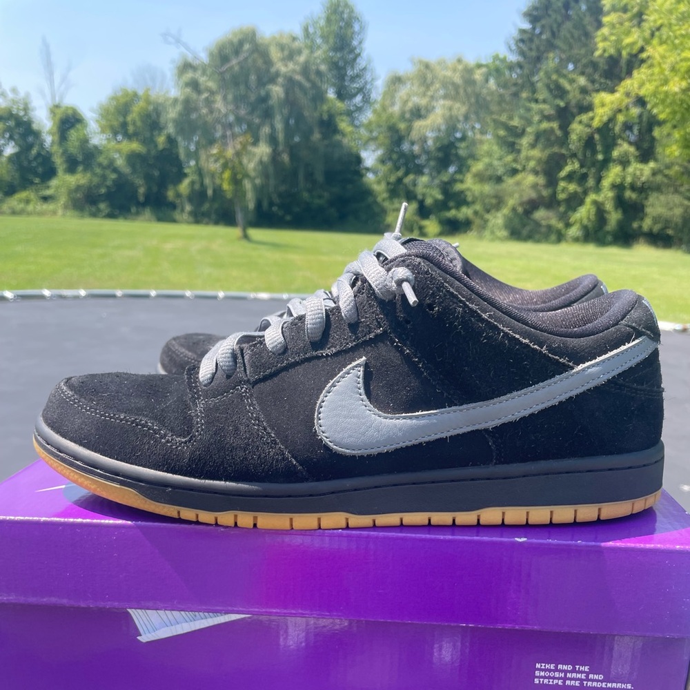 Nike SB Dunk Low Pro